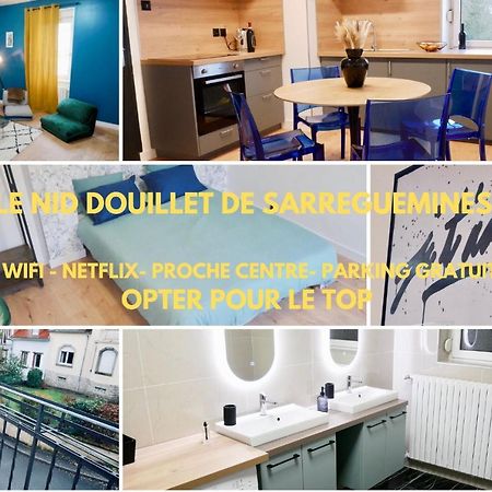Le Nid Douillet De Sarreguemines Apartment Bagian luar foto